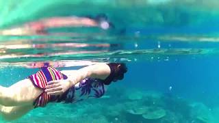 Snorkelling at the Rainbow Reef in Fiji