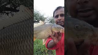 Moraga fish hunting #fish #jalgaon #mine #hunting hunt