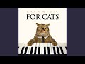 Cat Music