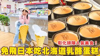 一秒來到日本北海道！彰化超強伴手禮「北海道乳酪蛋糕」🍰 免飛日本也吃得到~😋