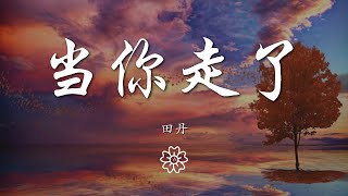 田丹 - 當你走了『Baby 當你走了』【動態歌詞Lyrics】