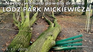 Wichura w Łodzi - Powalone drzewa w parku Mickiewicza