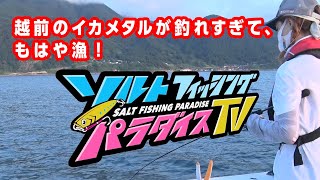 越前のイカメタルが釣れすぎて、もはや漁！（ソルパラTV・第49回2021年9月2日放送）