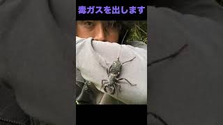 毒ガス虫にやられた