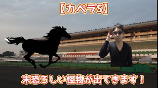 【カペラS】この馬怪物！？来年のJBCスプリント勝ち馬が出走予定です！