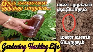 Organic Fertilizer || மண் வளம் பெருக இந்த கரைசலை ரெகுலராக குடுங்க.....