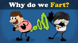 Why Do We Fart? + More Videos | | Doovi