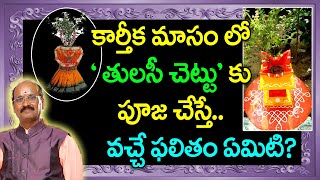 కార్తీకమాసంలో ''తులసి చెట్టు ''కి పూజ ఎలా చేయాలి?#TULASI POOJA#KARTHIKA MAASAM#KARTHIKAMASAM POOJA