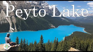 Peyto Lake: Canada's Hidden Gem