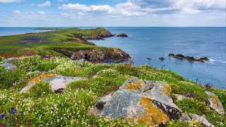 Beautiful Shores of Ireland ~ Relax Music with Nature Sounds