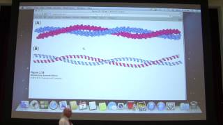 4.  Kevin Ahern's Biochemistry - Protein Structure I