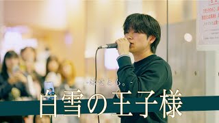 【歌詞付】ラスト路上になるであろう彼の歌声がブレイク待ったなし!? 白雪の王子様 / はせとも。【川崎路上ライブ-24.10.28】