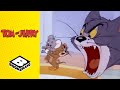 Jerry Wants Tom's Milk | Tom and Jerry | Boomerang UK