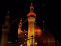 Karbala ❤️ #viralshort #mustwatch #islam #muslim #trending