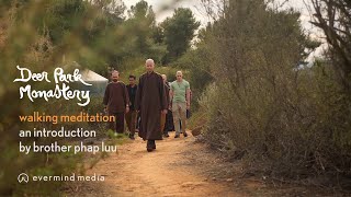 Walking Meditation: An Introduction by Brother Phap Luu | #1