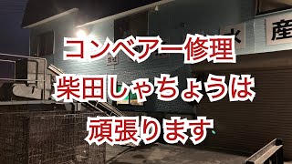 【マルユメ柴田水産の仕事風景、コンベアーのゴム修理作業】