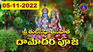 Tulasi Dhamodara Pooja || Tirumala || 05-11-2022 || SVBC TTD