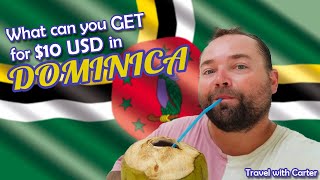 Exploring Dominica on a Budget! | Travel with Carter Country 78/197