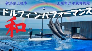 ドルフィンパフォーマンス「和」・上越市水族館うみがたり（2021.6.1）