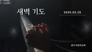 무엇이 내 마음을 든든하게 하는가? | 마가복음 6:7~13 | 박성현 목사 | 광주사랑의교회 새벽기도 | 250225