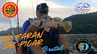 No paran de PICAR en el Lago Dos Bocas | Actividad de pesca a otro nivel