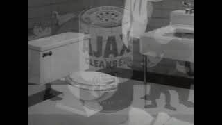 Ajax Cleaner Commercial