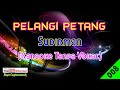 Pelangi Petang by Sudirman | Karaoke Tanpa Vokal