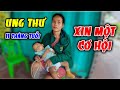 108. Bé Gái 11 Tháng Tuổi Chiến Đấu Với Ung Thư. Xin Hãy Giúp Con!