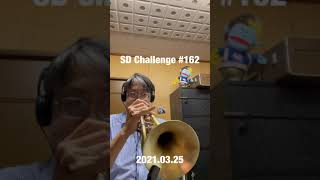 SD Challenge #162 Tp