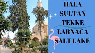 HALA SULTAN TEKKE, Larnaca Salt Lake, Cyprus