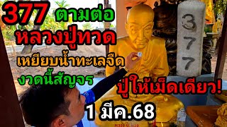 377แตก#หลวงปู่ทวด,ให้ต่องวด(1มีค.68)งวดนี้#ปู่ให้แล้วเม็ดเดียว!สัญจรงวดนี้#อย่าพลาด4งวดซ้อนที่นี่