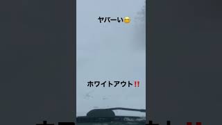 【10年に１度の寒波】#ホワイトアウト#北海道#見えない#美瑛