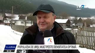 Populația de urși este mult peste densitatea optimă în anumite zone din țară