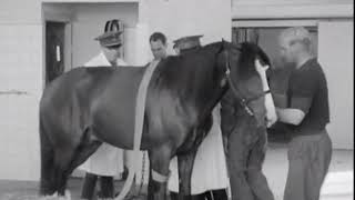 Solvalla1945Travets