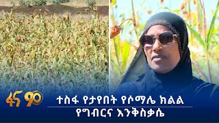 ተስፋ የታየበት የሶማሌ ክልል የግብርና እንቅስቃሴ