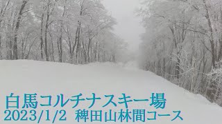 白馬コルチナスキー場  稗田山林間コース  2023/1/2