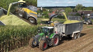 Mais häckseln (New Holland FR780 / Fendt 728/724 / JCB / Demmler)