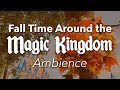 Fall Time Around the Magic Kingdom Ambience | Halloween Fall Disney World Ambience