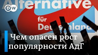 Правые популисты набирают очки: насколько опасен рост популярности АдГ в Германии?