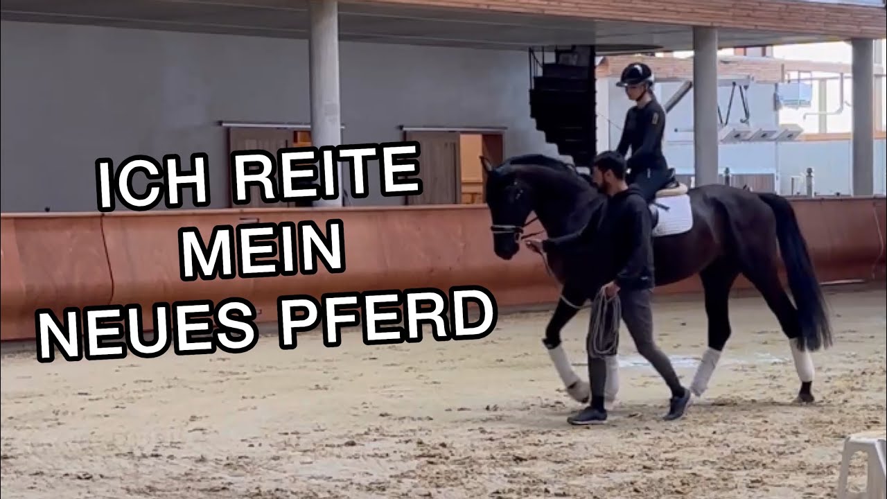 Erster Ritt | Ich Reite Mein Neues Pferd | Inleobo - YouTube