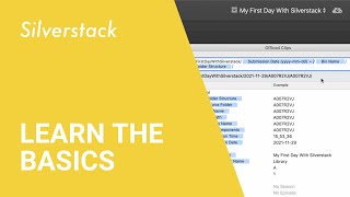 Getting started with Silverstack: Basics for your first day with Silverstack