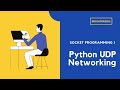 Send packets using Socket Programming | Python UDP Networking (2021)