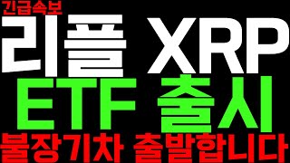 리플 XRP 그레이스케일 ETF 신청 불장기차 출발합니다 트럼프밈코인 알트불장 비트코인 ETF 리플코인전망 리플코인목표가 리플코인전망실시간 리플실시간방송