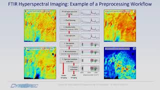 Tutorial Spectral and Spatial Preprocessing with CytoSpec
