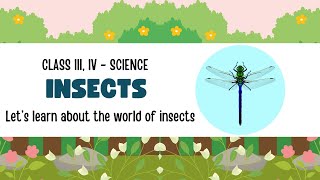 Study the World of Insects - Grade IV and III , CBSE -Science/EVS