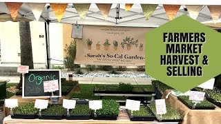 HARVESTING FOR FARMERS MARKET & SELLING