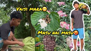 Gau ma vaisi ko masu tannai khayiyo🥵 | golerahul |