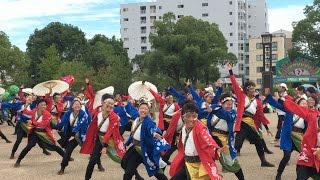 神戸学生よさこいチーム湊 神戸ALIVE 湊川公園パレード H28.9.25