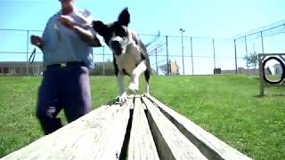 A Look Inside: Southeastern Correctional Complex
