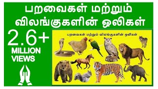 பறவைகள் மற்றும் விலங்குகளின் ஒலிகள்|Learn Birds and Animals Sound in Tamil